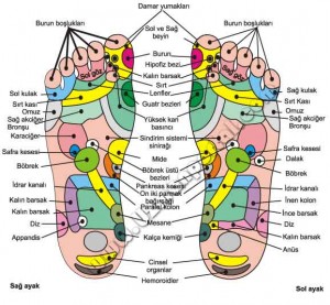 Ayak masajı yapmak için ayak haritasi