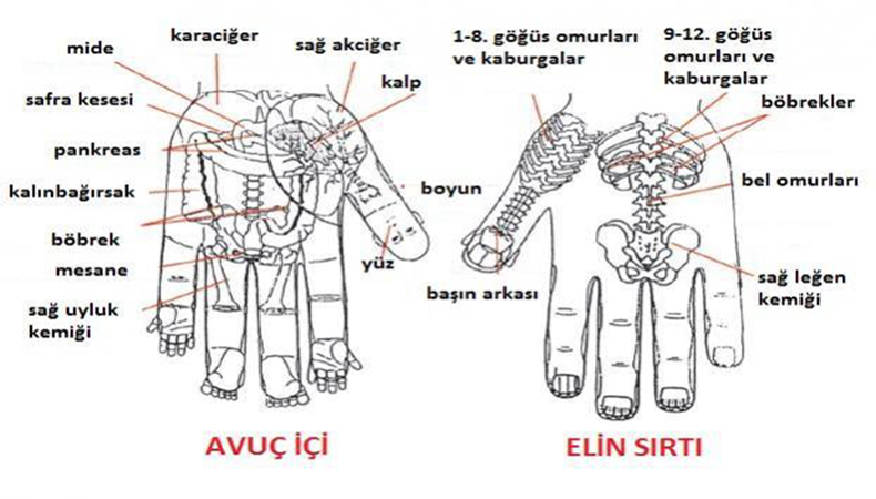 Refleksolojinin Etkili Olduğu Rahatsızlıklar
