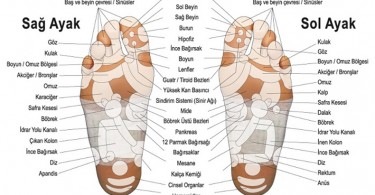 Refleksolojinin Sağladığı Yararları