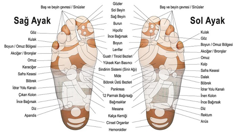 Refleksolojinin Sağladığı Yararları