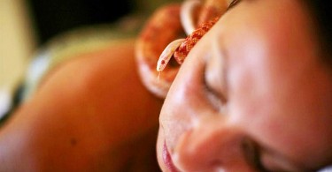 Çılgın yılanlı masaj